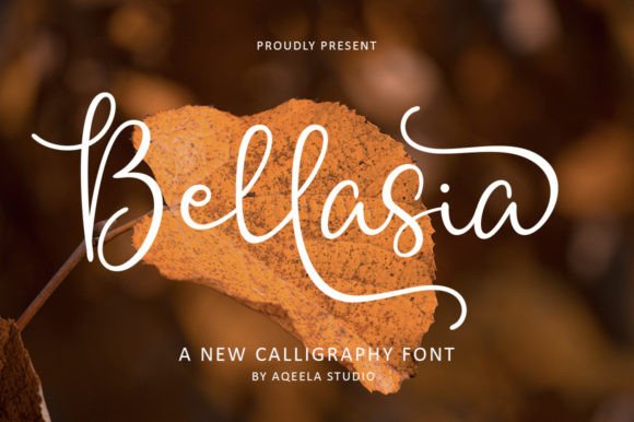 Bellasia: A Stylish Font for Business