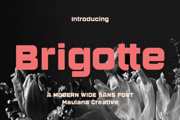 Brigotte: A Bold Sans Serif for Real-World Design
